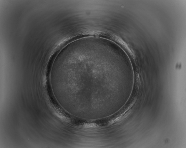 X0000098070203200804041133