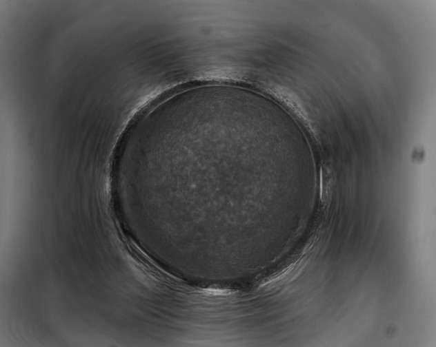 X0000098070204200804041133