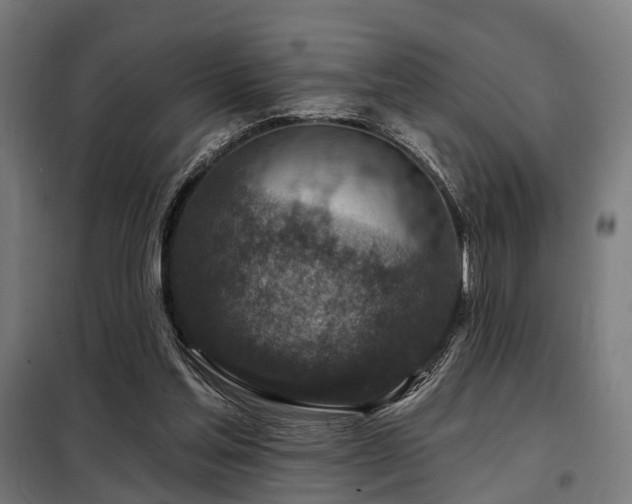 X0000098070205200804041133