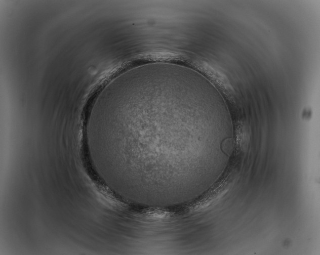 X0000098070206200804041133