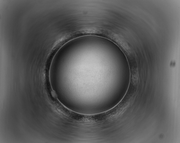 X0000098070207200804041133