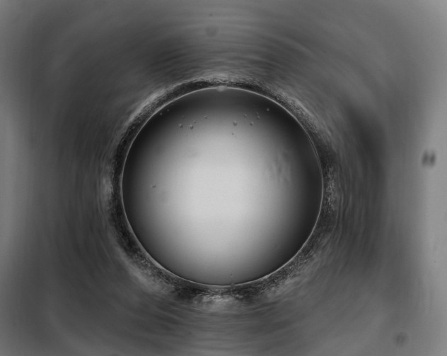 X0000098070208200804041133