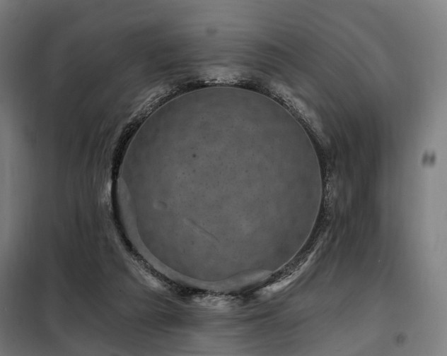 X0000098070209200804041133