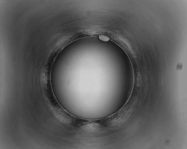 X0000098070210200804041133