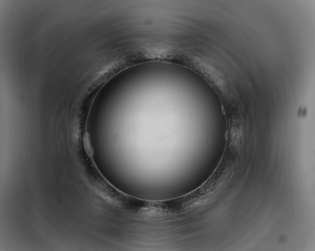 X0000098070211200804041133