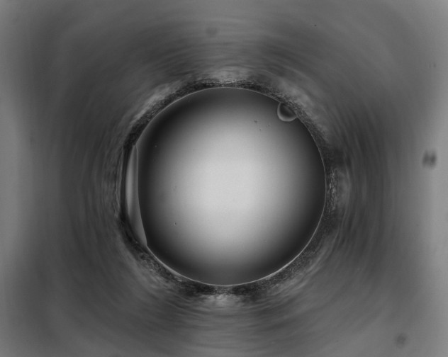 X0000098070212200804041133