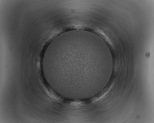 X0000098070213200804041133