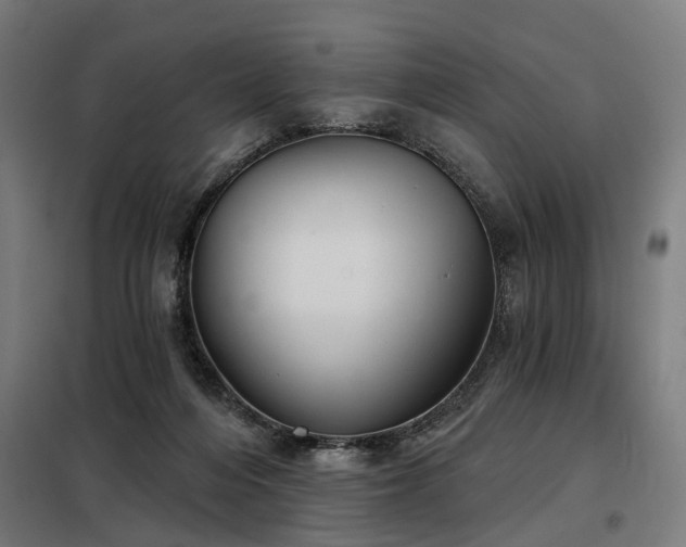 X0000098070216200804041133