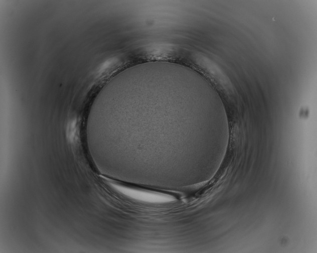 X0000098070217200804041133