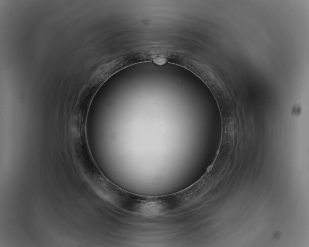 X0000098070218200804041133