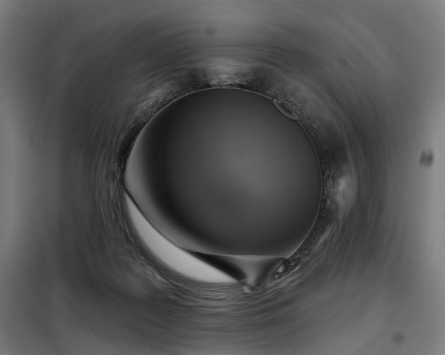 X0000098070219200804041133