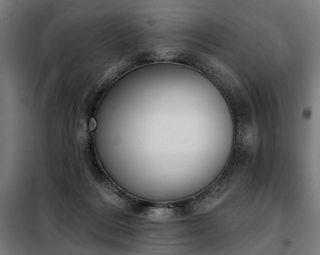 X0000098070220200804041133