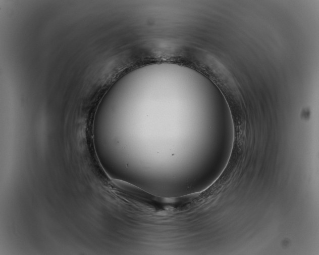 X0000098070221200804041132