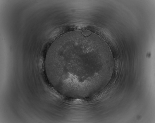 X0000098070222200804041132