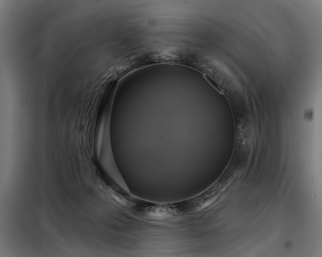 X0000098070223200804041132