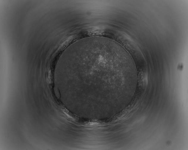 X0000098070224200804041132