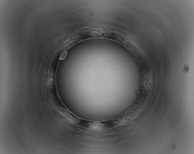 X0000098070226200804041132