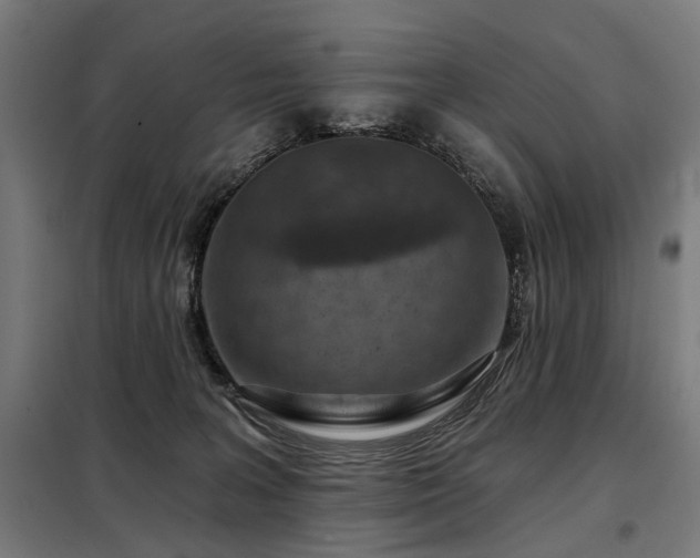 X0000098070227200804041132