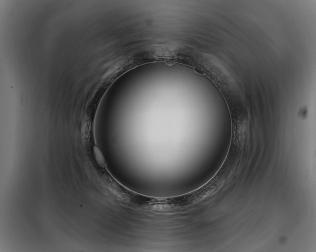 X0000098070228200804041132