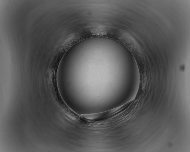 X0000098070229200804041132