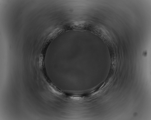 X0000098070231200804041132