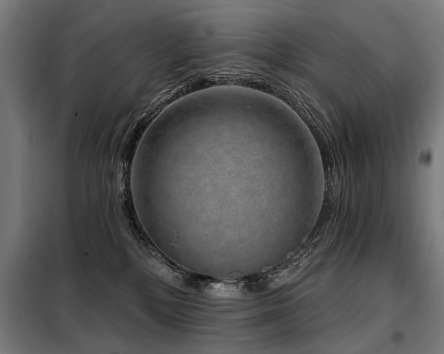 X0000098070232200804041132