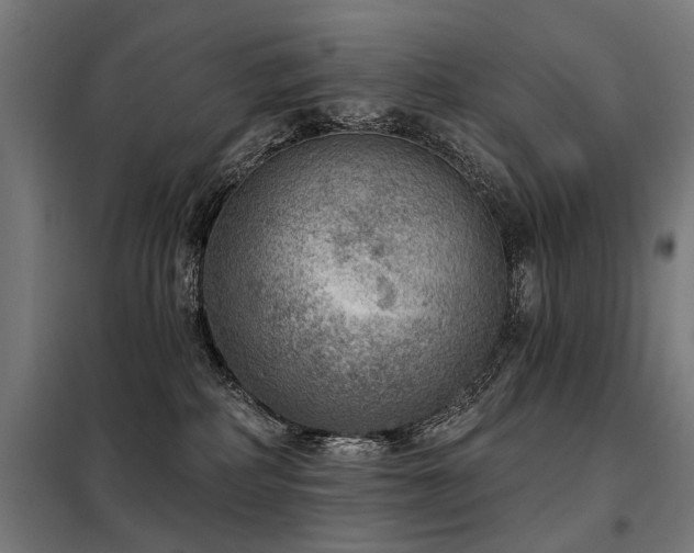 X0000098070234200804041132