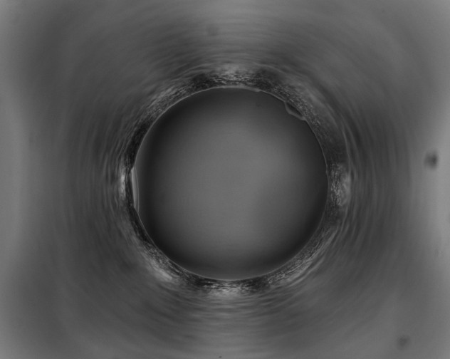 X0000098070235200804041132