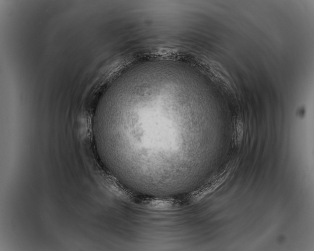 X0000098070236200804041132