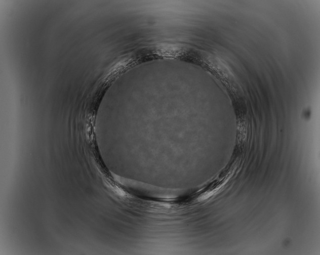 X0000098070237200804041132