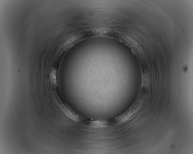 X0000098070238200804041132