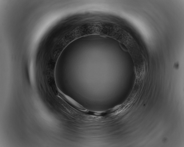 X0000098070239200804041132