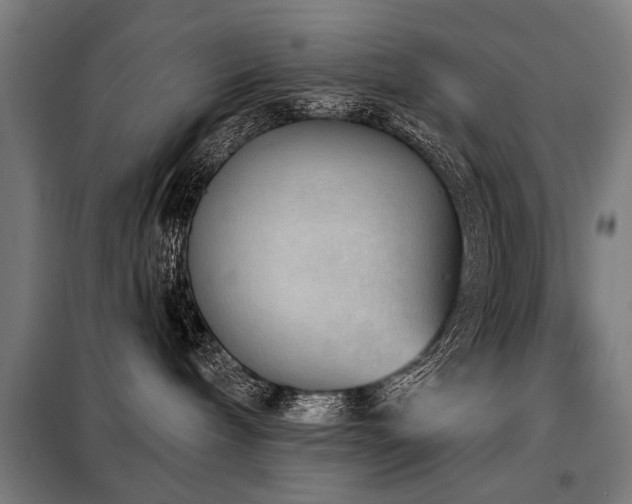 X0000098070240200804041132