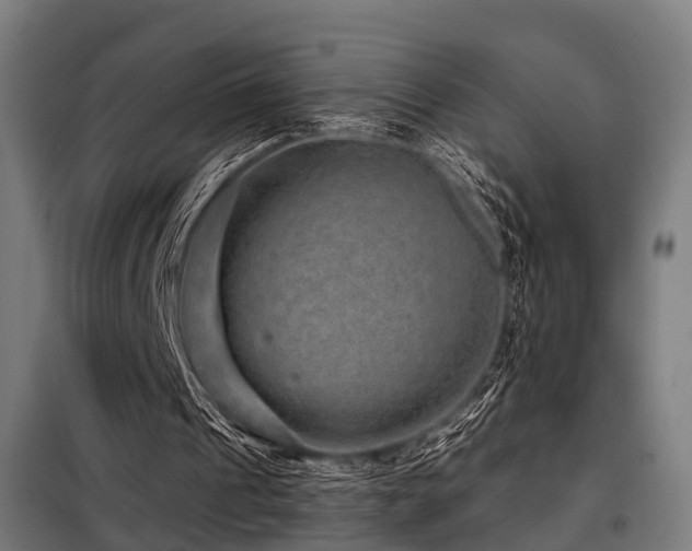 X0000098070241200804041131