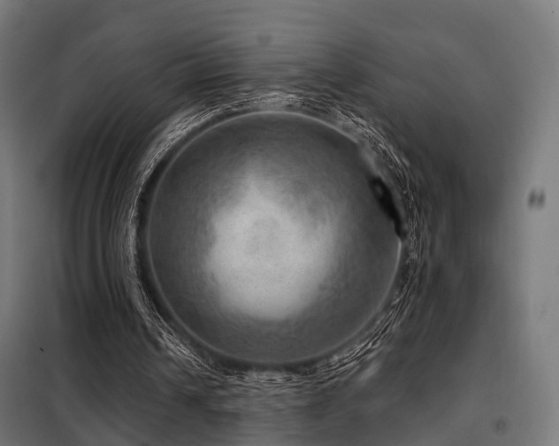 X0000098070242200804041131