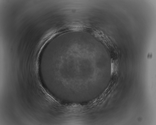 X0000098070243200804041131