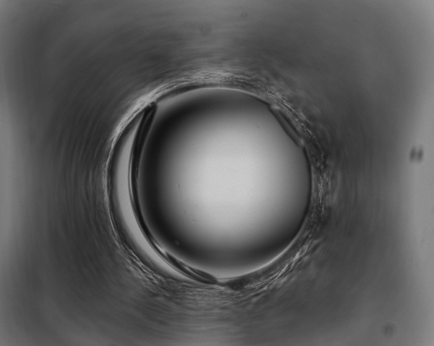 X0000098070244200804041131