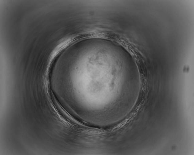 X0000098070245200804041131