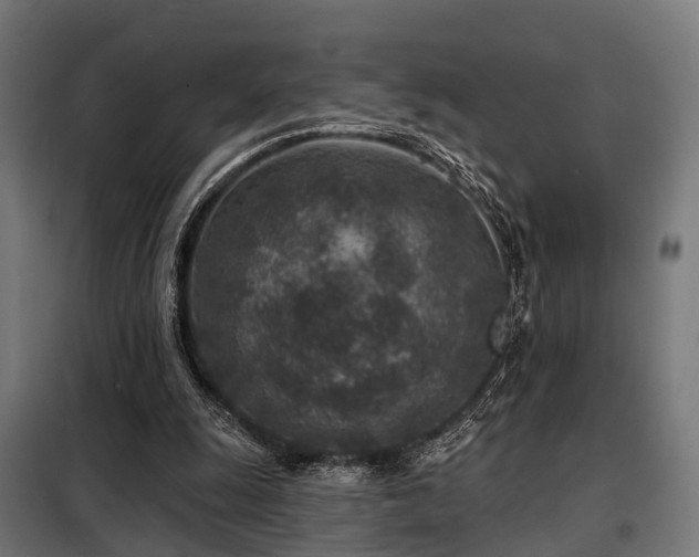 X0000098070247200804041131