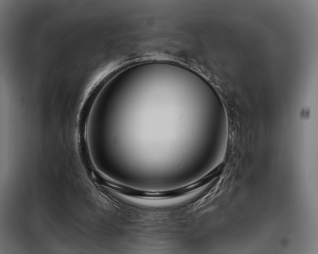 X0000098070248200804041131