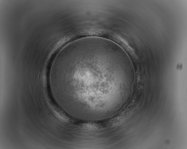 X0000098070250200804041131