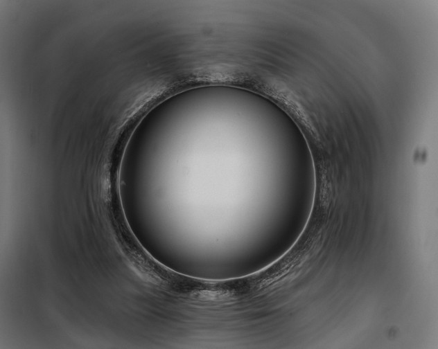 X0000098070251200804041131