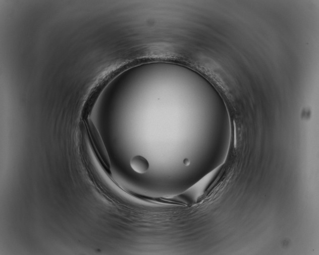 X0000098070252200804041131