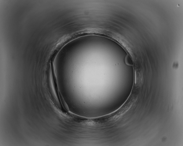 X0000098070253200804041131