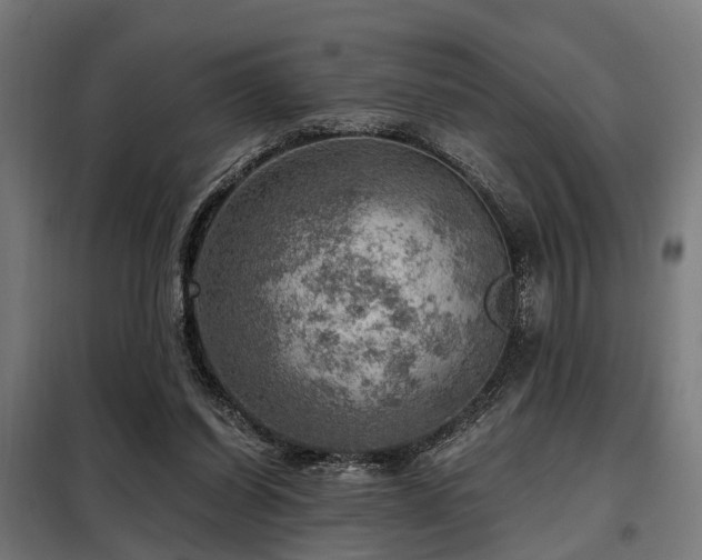 X0000098070254200804041131