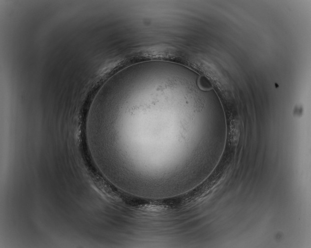 X0000098070255200804041131