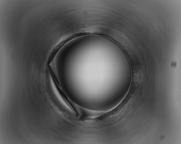 X0000098070256200804041131