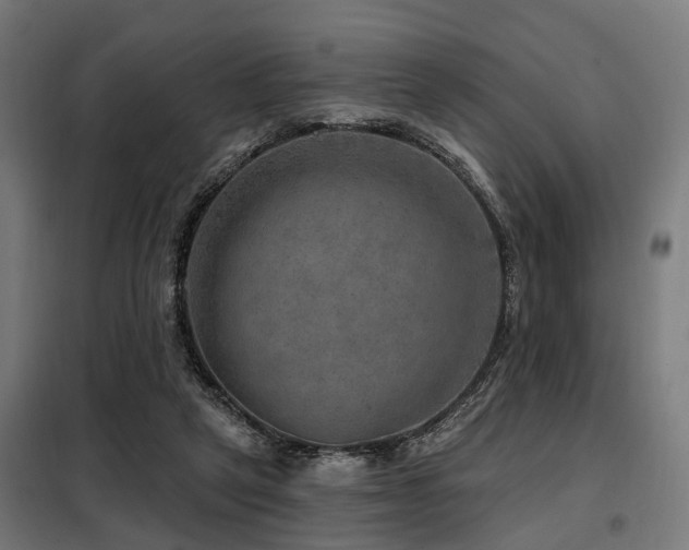 X0000098070257200804041131