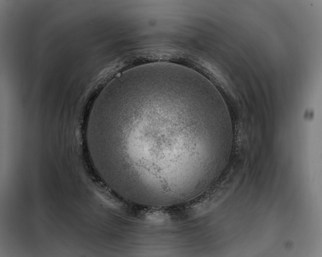 X0000098070258200804041131