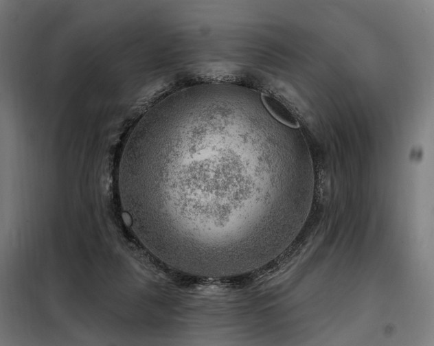 X0000098070259200804041131